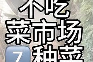 江南平台app是英文app